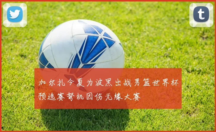 加尔扎今夏为波黑出战男篮世界杯预选赛弩机因伤无缘大赛