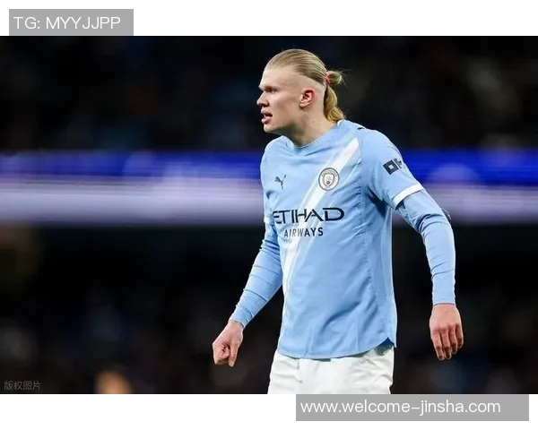 英超单向连线进球榜揭秘谢尔基福登多库哈兰德各进三球表现出色